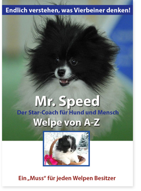 Mr. Speed - Welpe von A - Z - © www.lucky-dog.at